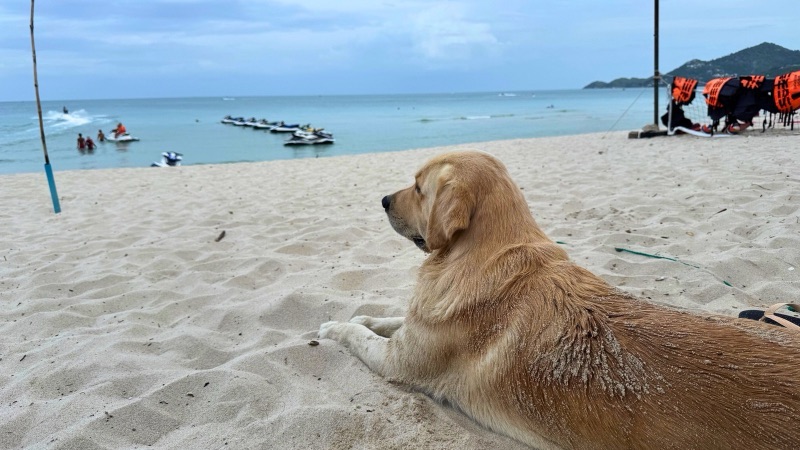 チャウエンビーチ