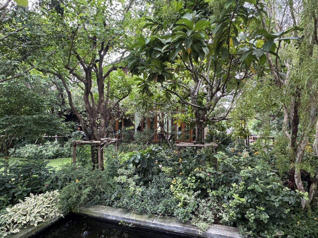 Tavy's Home　バーンチャック