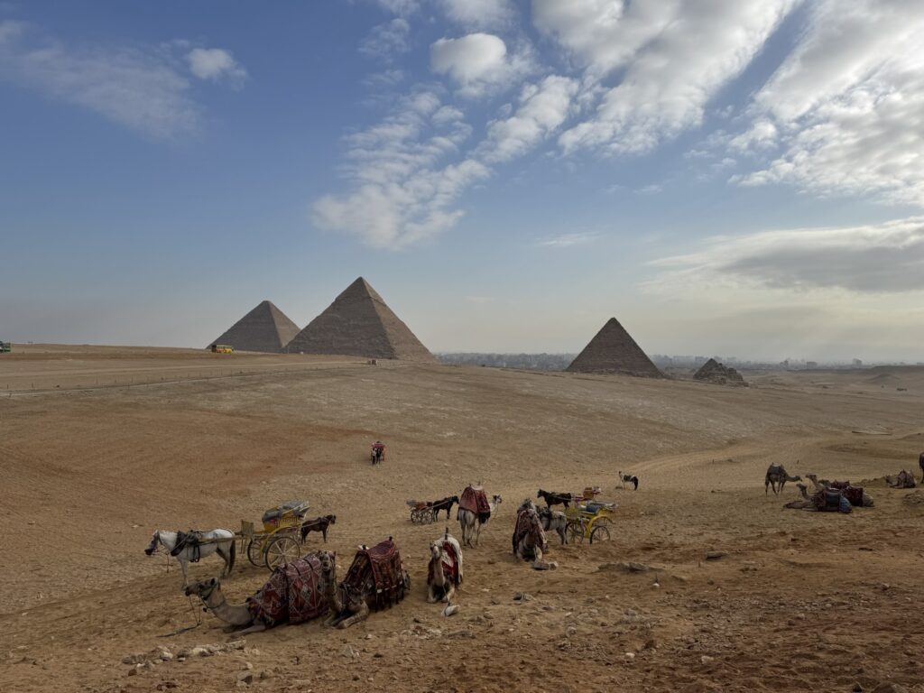 ピラミッド ラクダ パノラマポイント パノラマビュー