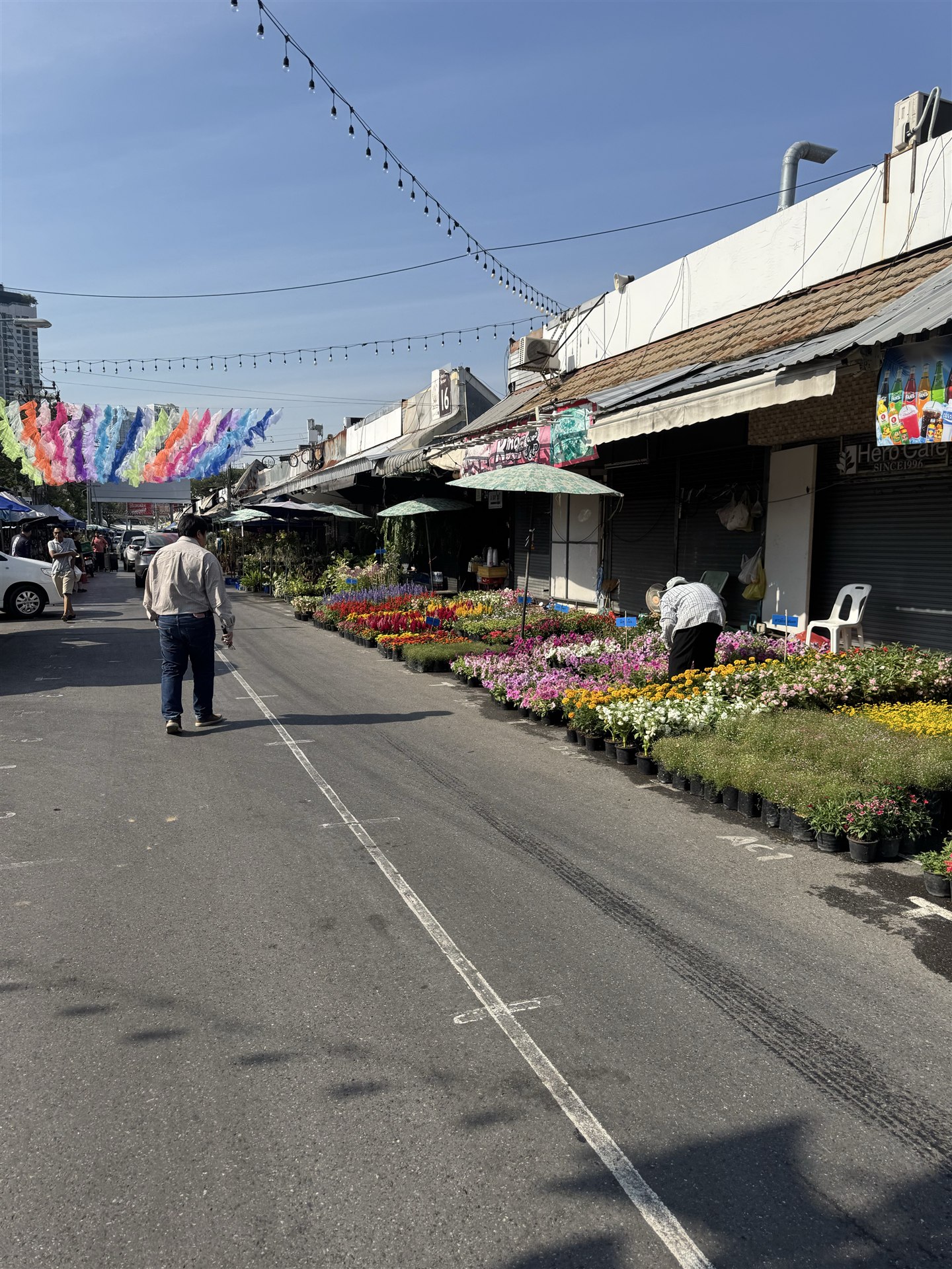 色とりどりの花苗が並ぶチャトチャック植物市の通路